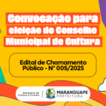 COMCULT fortalece a participação social e impulsiona as políticas culturais no município